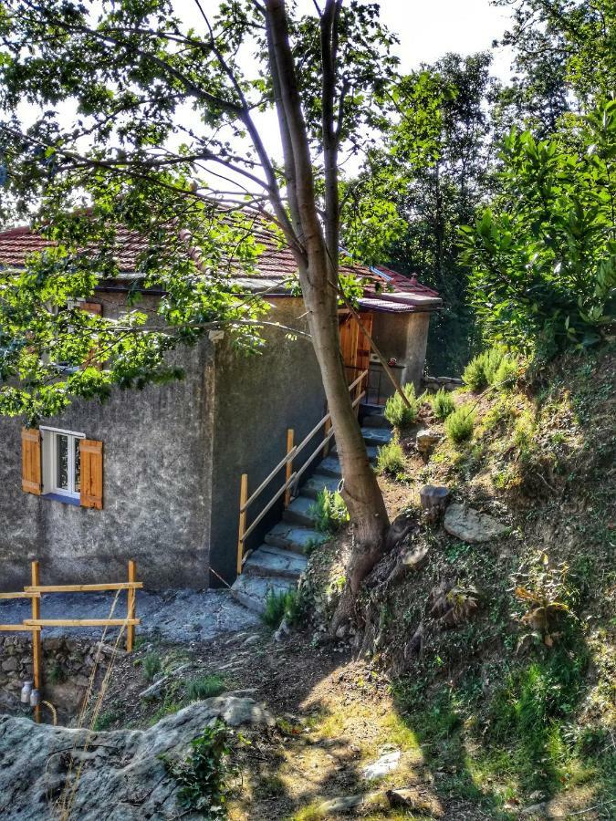 Berzuaia Bed & Breakfast Варацце Екстер'єр фото
