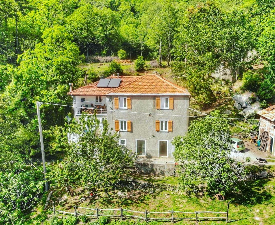 Berzuaia Bed & Breakfast Варацце Екстер'єр фото